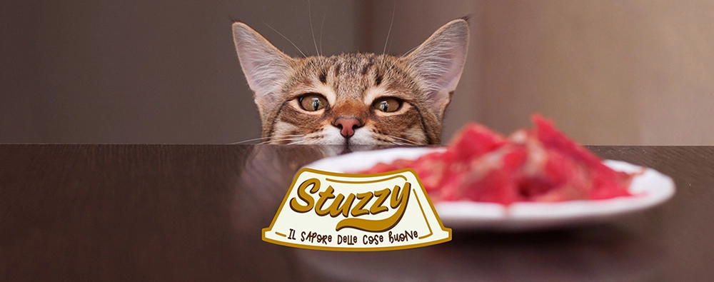 Bauzaar logo