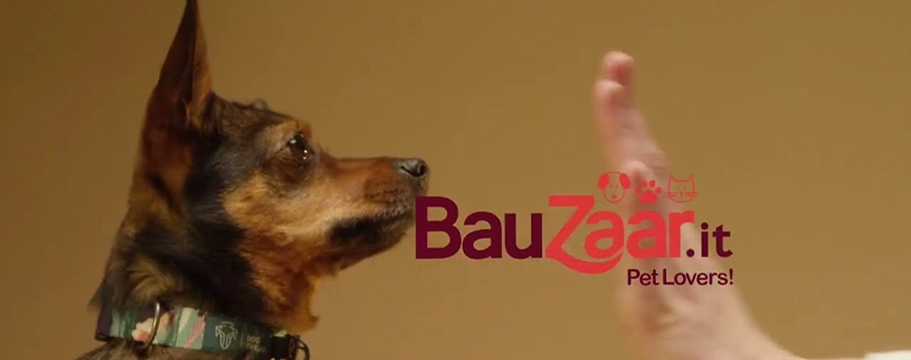 Bauzaar - Bauzaar Promo Weekend: 7€ di Extra sconto