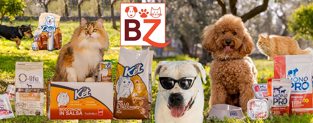 Bauzaar - Bauzaar Codice Sconto 10% Weekend