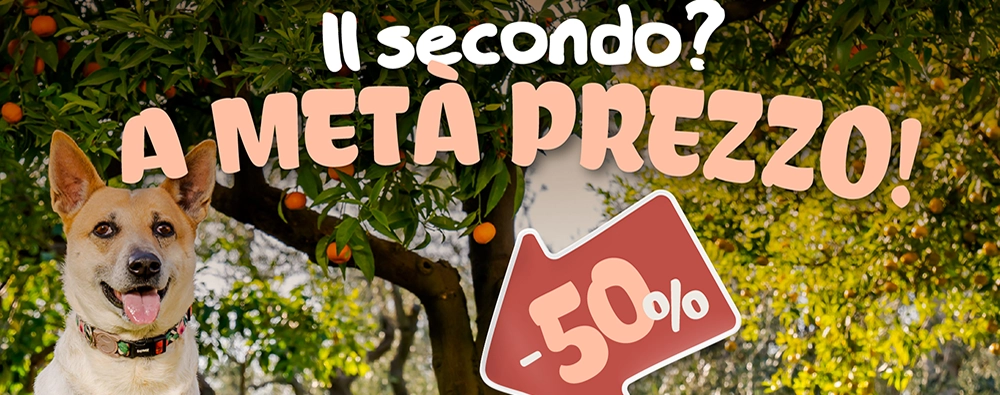 Bauzaar - Bauzaar Sconto del 50% sul 2° pezzo