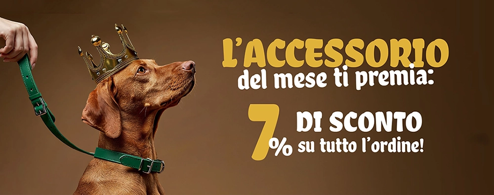 Bauzaar - Bauzaar Sconto 7% ordine con accessori