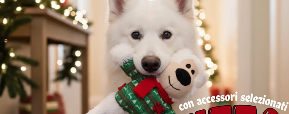 Bauzaar - Bauzaar Sconto 7% Accessori Natale