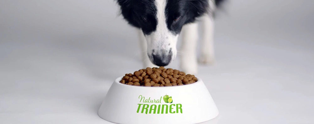 Bauzaar - Codice Sconto 10€ su Natural Trainer Cane