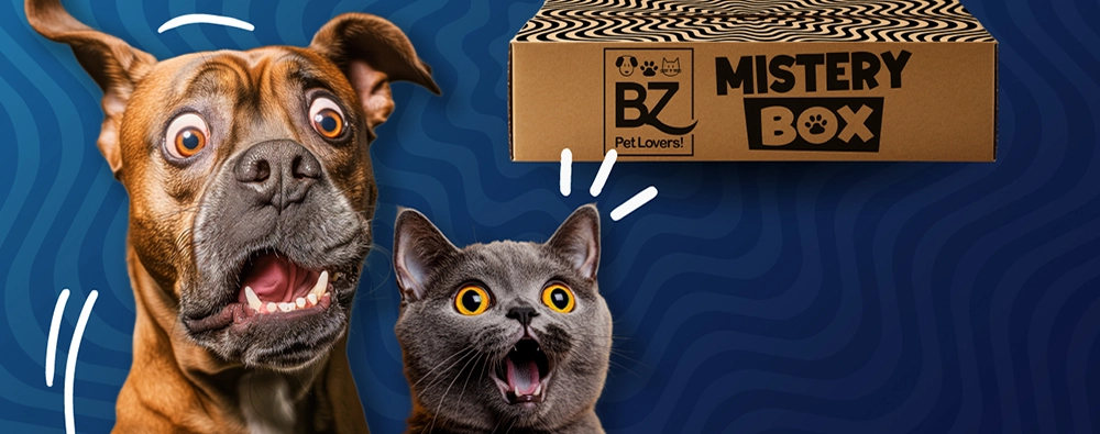 Bauzaar - Sconto 10% con la Mistery Box Bauzaar