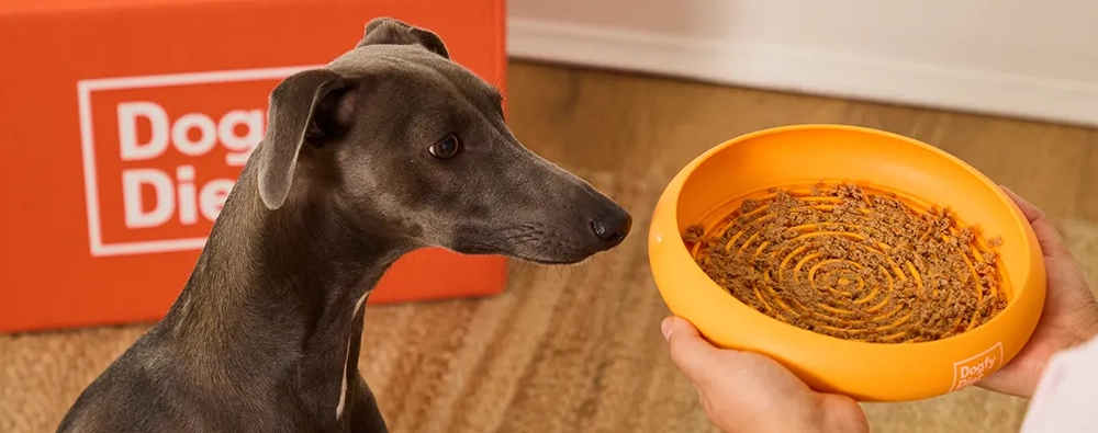 Dogfy Diet logo