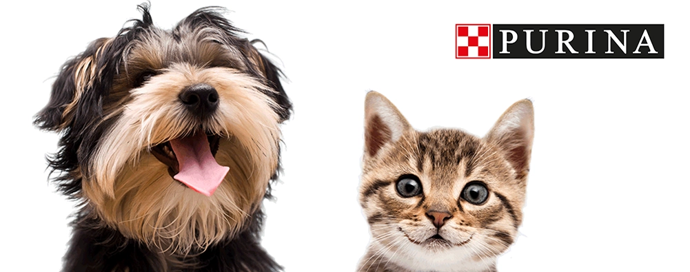 Purina - Purina Codice Sconto 3×2