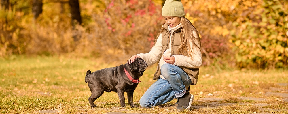 Purina - Extra Sconto del 15% su Purina