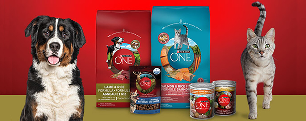 Zooplus - Codice sconto del 25% su Purina One