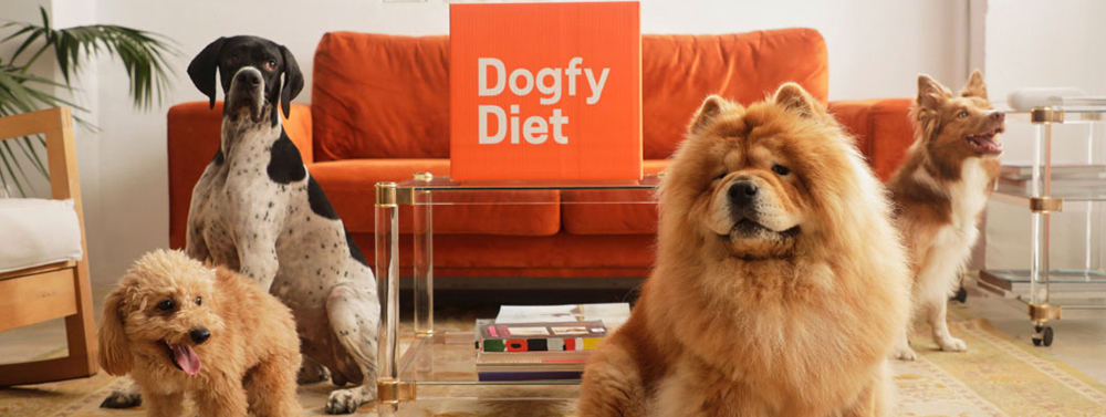 Dogfy Diet Banner