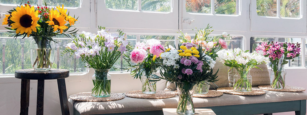 FloraQueen Banner