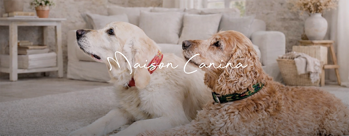 Maison Canina Banner