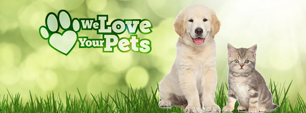 Robinson Pet Shop Banner