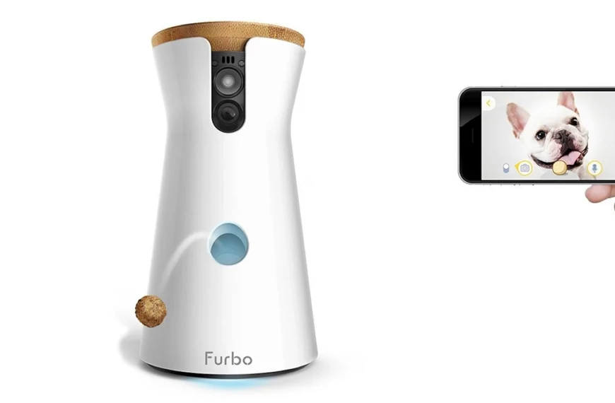 Furbo 360° la videocamera per animali domestici