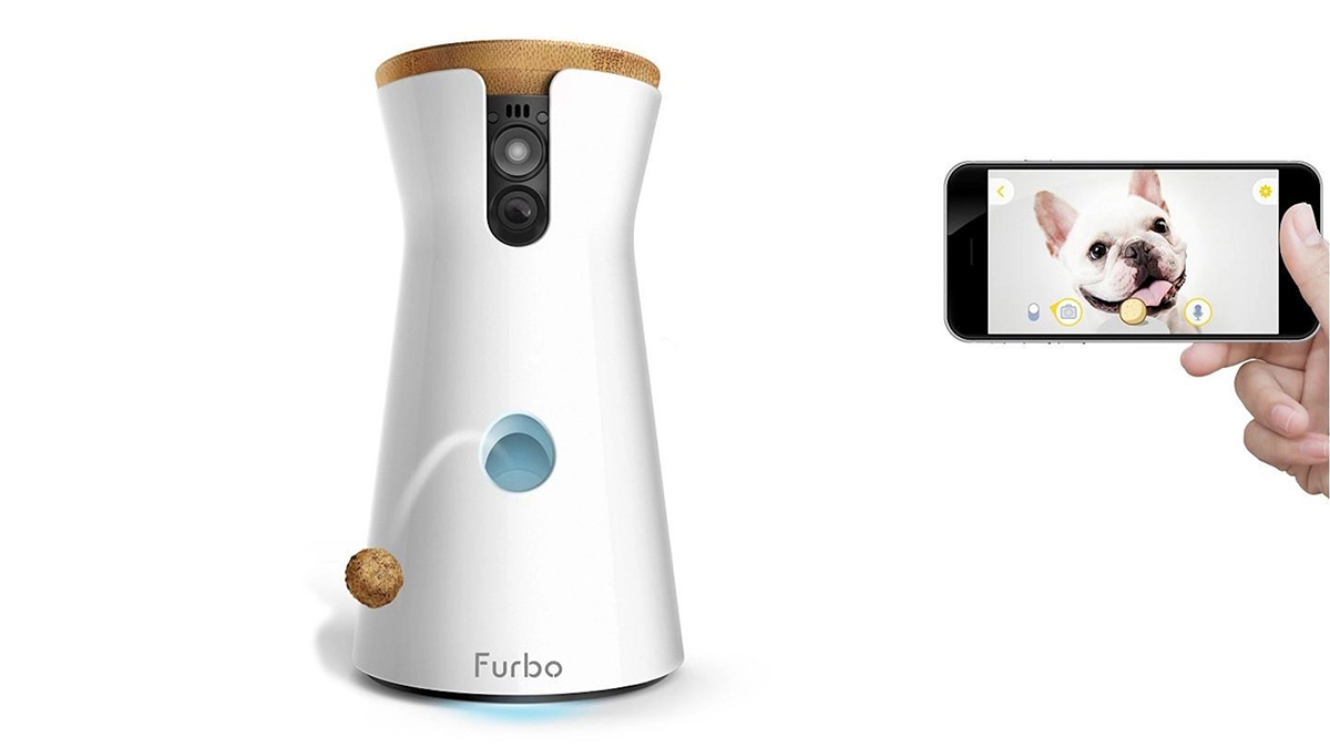 Furbo 360° la videocamera per animali domestici