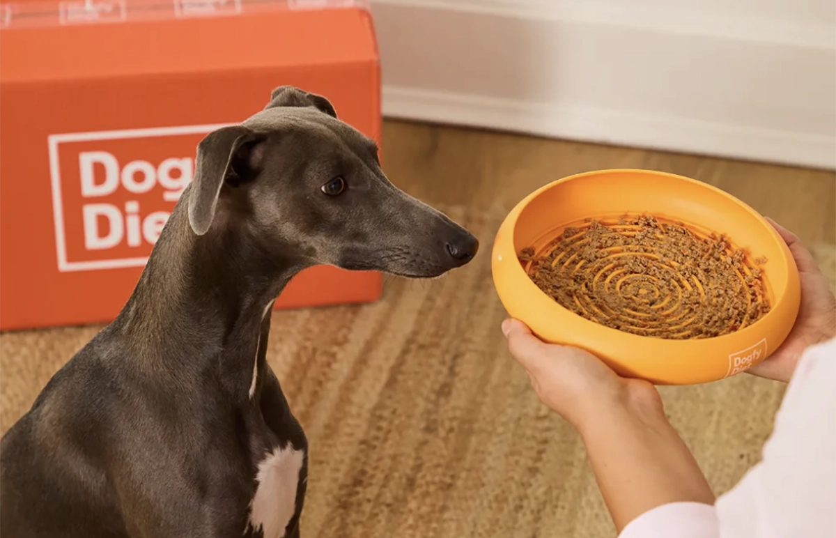 Dogfy Diet Box di prova in offerta al 50% di sconto e ciotola Slowfy in regalo